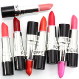 Matte Long Lasting Elegant Waterproof Matte Lip Stick