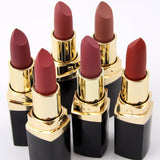 Matte Cosmetic Waterproof Long Lasting Pigment Velvet Lipstick Kit