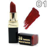 Matte Cosmetic Waterproof Long Lasting Pigment Velvet Lipstick Kit