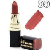 Matte Cosmetic Waterproof Long Lasting Pigment Velvet Lipstick Kit