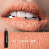 19 Colours Lip Stick Matte Moisturizing Lipstick